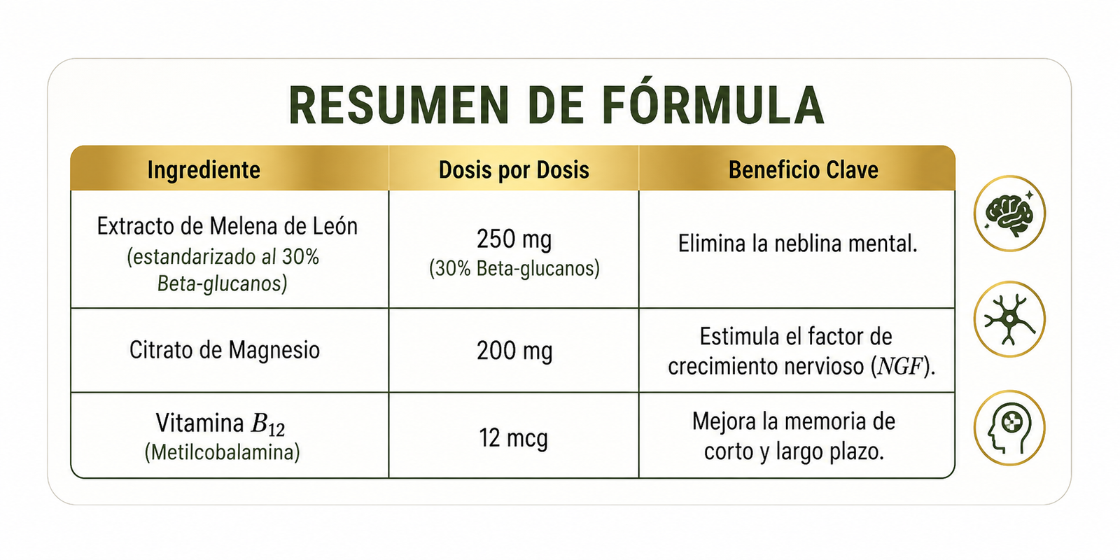 Neuro-Equilibrio - Imagen 2