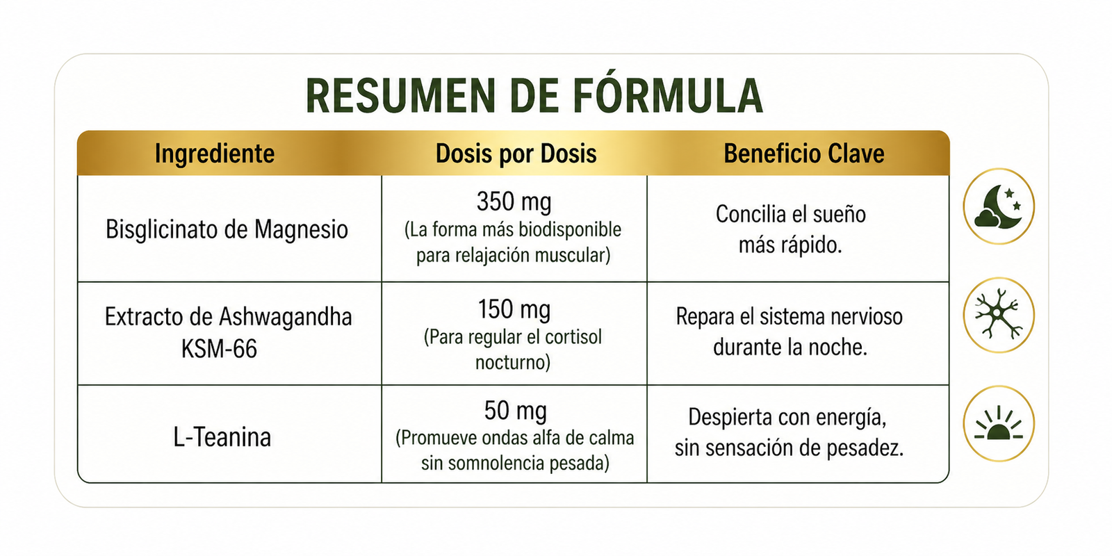Calma Nocturna - Imagen 2